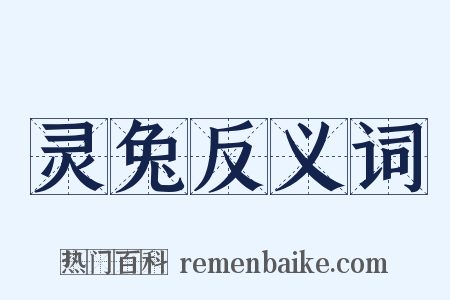 灵兔反义词是什么意思的图片
